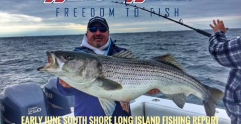 June 4th Video Fishing Report