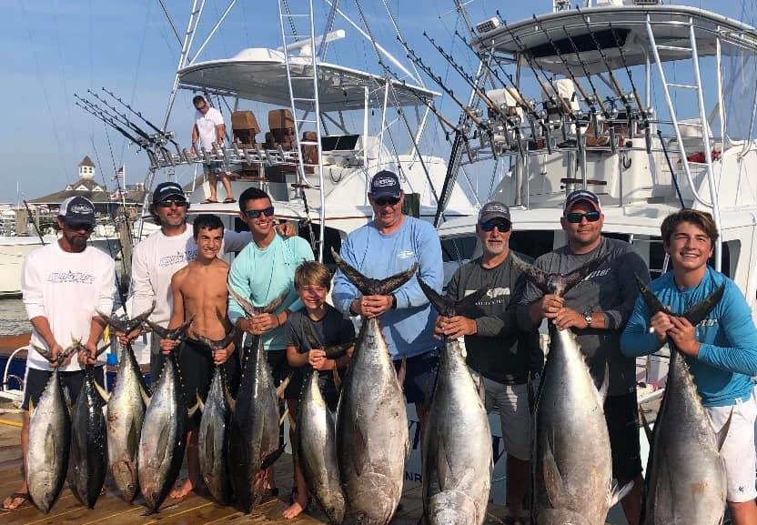 InShore And OffShore Tuna Still Going Strong!!