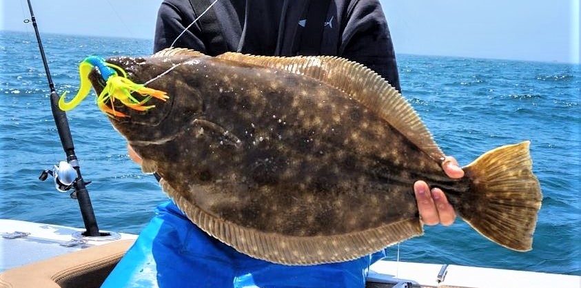 Fluke Fishing Has Begun!!