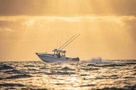 YellowFin 34 OffShore