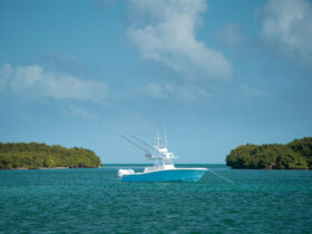 Invincible 39 Open Fisherman