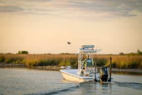 YellowFin 26 Hybrid