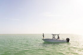 YellowFin 26 Hybrid