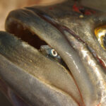 Spring Boating is Approaching Fast!!