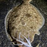 White Water Marine Reel News – July 22nd Fishing & Boating Report